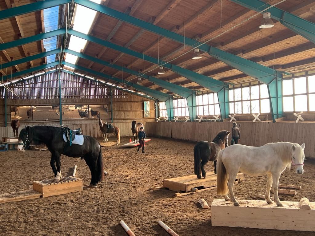 Extreme Trail indoor im Trailpark Oberbayern