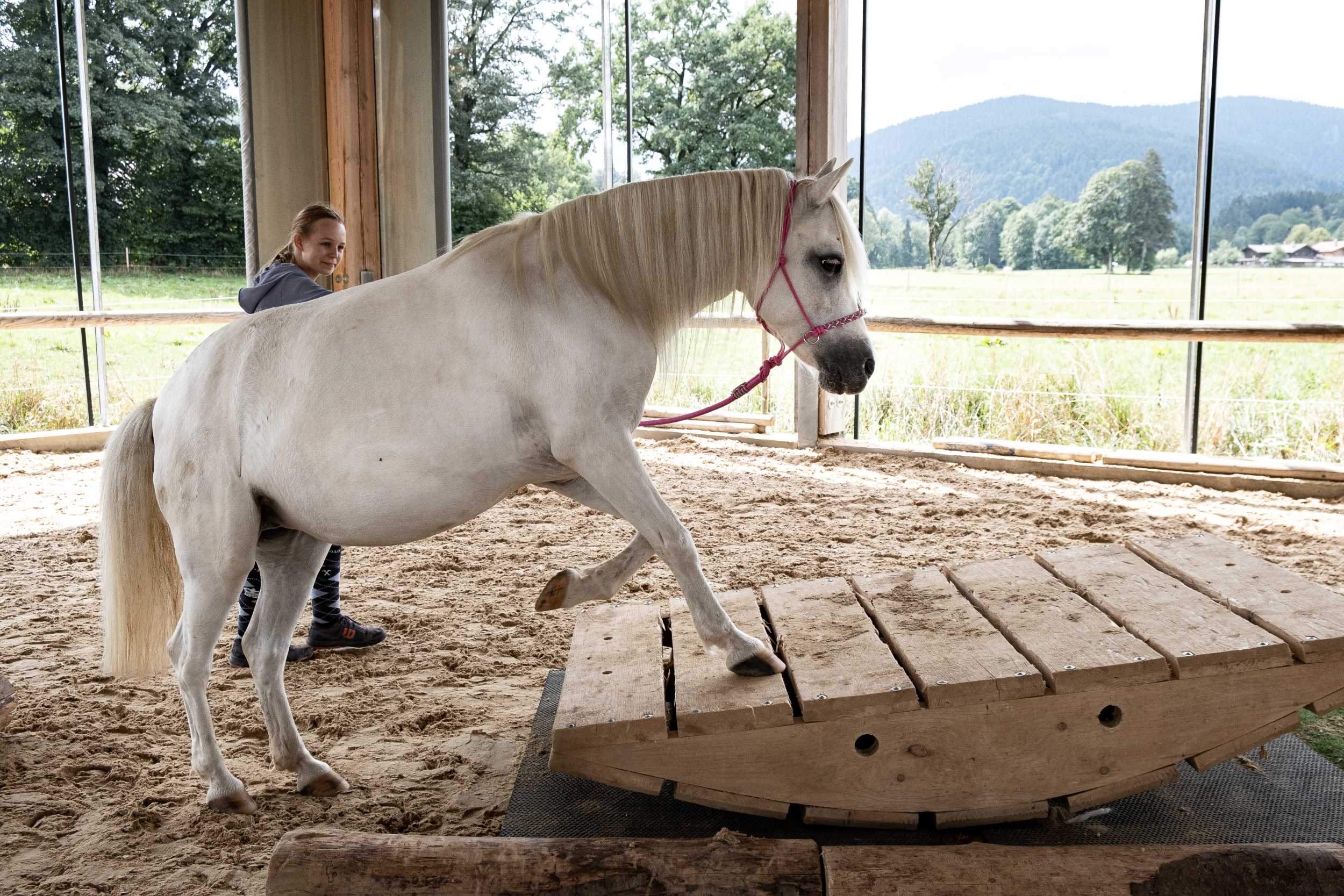 Ein Pony wird über ein Extreme Trail Hindernis geführt.