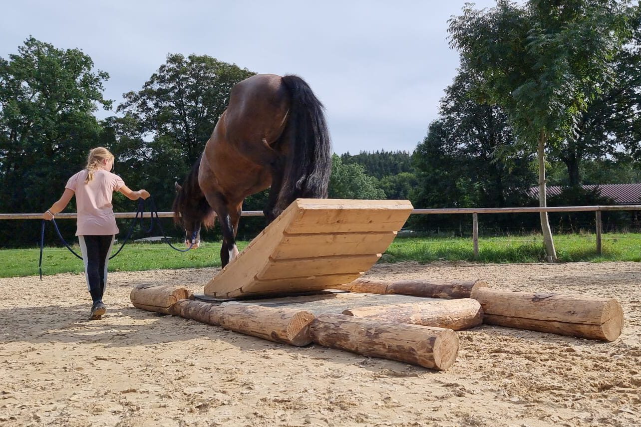 Ein Kind mit ihrem Pony bei einem Extreme Trail Kurs